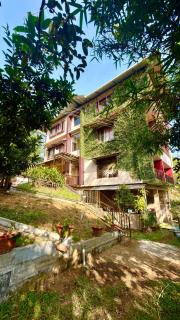 Teadale by Dcompany - 8