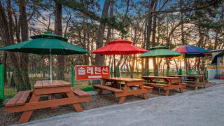 Gyeongju Gamposole Pension - 4