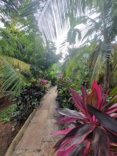 Beach house, Maral - 2