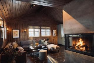 Stylish cabin near Hemsedal ski resort, 200 m to slopes & lift - 0