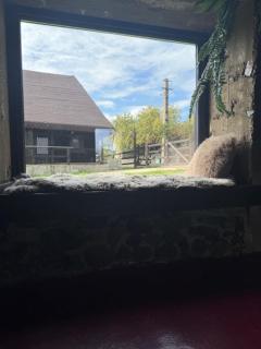 Remperial Chalets - 9