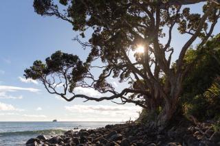 Hot Water Hideaway - 8