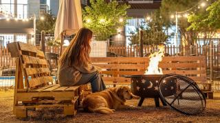 Hoengseong Withpet Village -  - 0