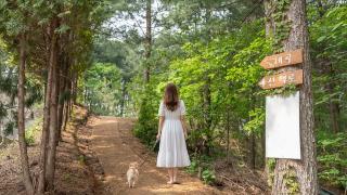 Hoengseong Withpet Village -  - 1