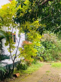 Ritigala Hideaway - 6