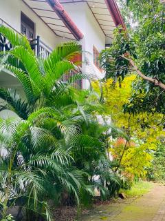 Ritigala Hideaway - 5