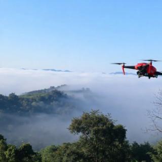 ที่พัก ภูค์ตะวัน - 2