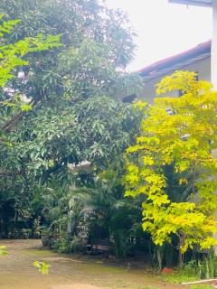 Ritigala Hideaway - 4