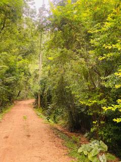 Ritigala Hideaway - 1