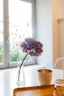 Dr. Bockemüller Appartements - 7