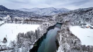 Glamping Avantura- a natural getaway by the Kolpa River - Kostel - 1