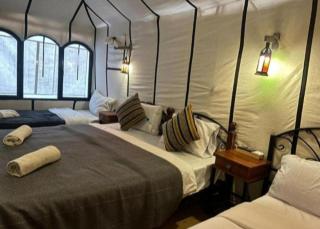 Toop luxury camp - 4