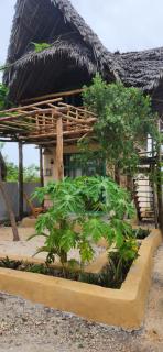 Serenity stay Kizimkazi - 3