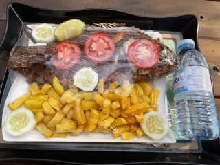 Bugoma Palms Resort Beach and Hotel -  - 9