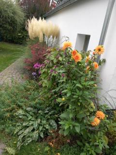 dresden-ferien haus - 0