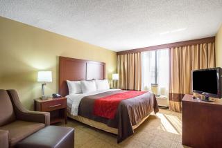 Comfort Inn Downtown - Cleveland - 4