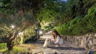 Pocheon luxjay pet Pension - 6