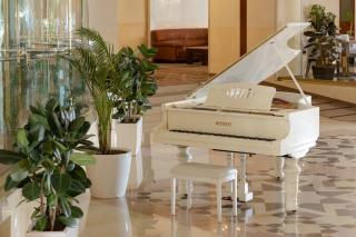 Ramada Plaza by Wyndham Gence - 1