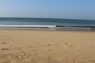 Hemashree Beach Stay Gokarna - 0