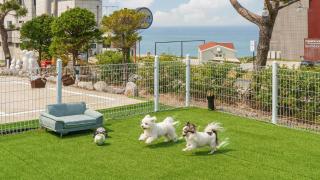 Goseong Sea&Star pension - 8