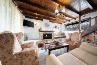 Chalet Renata 2 Livadi Arachovas - 9