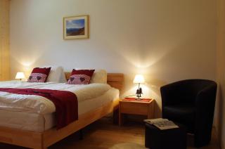 Chalet Galenblick - 9