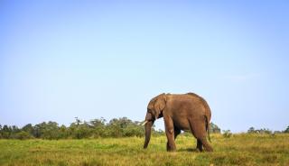 107 Seahorse - 1 Bedroom Premium Unit with Parking - 8