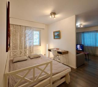 Riverside Apartment Rovaniemi - 1