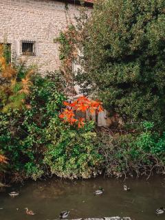 Au Bord de la Lauve - 3