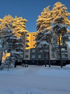 Cozy apartment in Rovaniemi! - 7