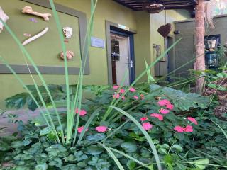 The Ranch Guesthouse - 7