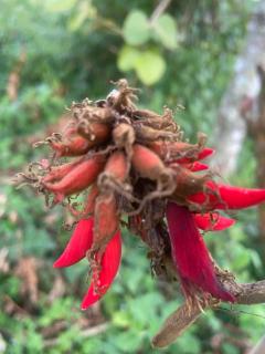 Nature flows Eco-Farm cottage & campsite - 3