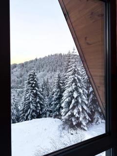 Tara mountain house Kopaonik - 1