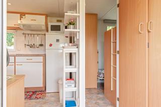 Oasis on the river - 1