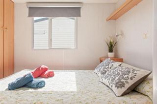 Oasis on the river 2 - 8