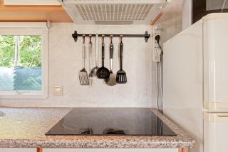 Oasis on the river 2 - 1