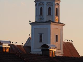 Ferienwohnung Storchenblick - 1