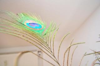 Roth 01 - Apartment für Firmen - 6