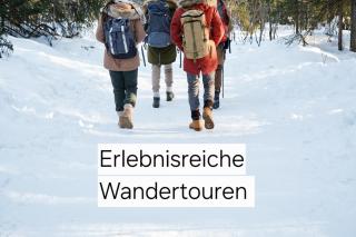 Winterruhe am Fürst Pückler Park -Hund willkommen -Küche - 5