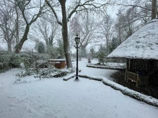 Japandi Lounge - Den Bosch- Sauna- Tub- Pizza Oven - 6