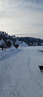 Domek przy Młynie Koło Wodne - 8