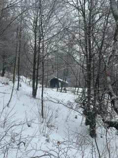 TogetherNest - Ash - 4