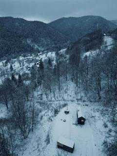 TogetherNest - Ash - 8