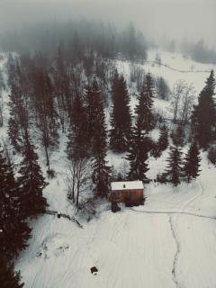 TogetherNest - Cedar - 0