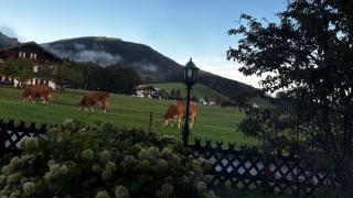 Bader Häusl - Chiemgau Karte - 0