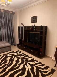 3 bedroom apartment dokki - 8