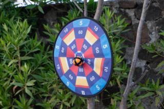 Daksh The Nirvana Retreat - 1