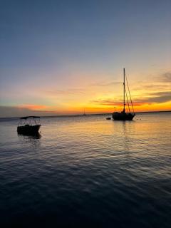 Penthouse Prikichi D2 - 5