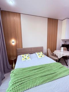 1 Room Apartment in Four Seasons - 9