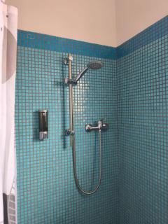 Maio Sweet Tartaruga - 2